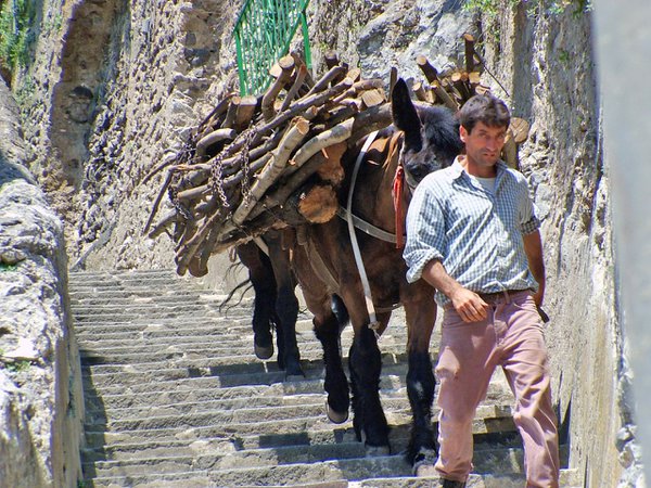 Travel example