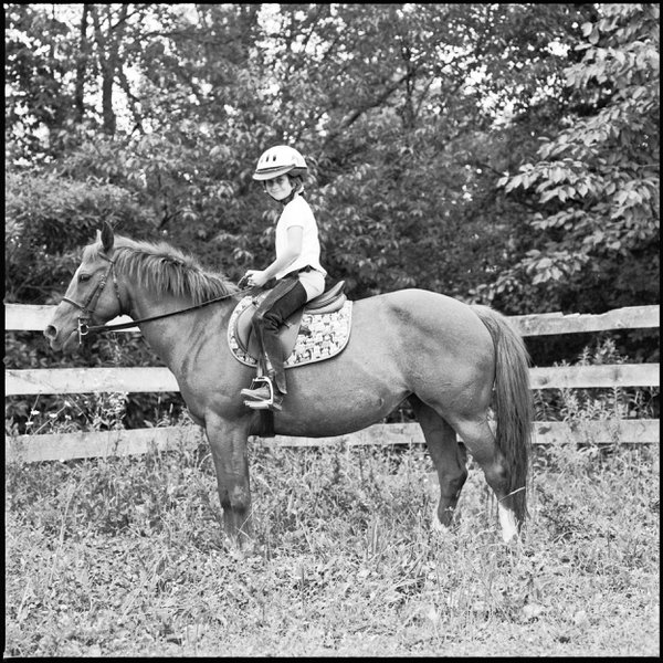 Pet example