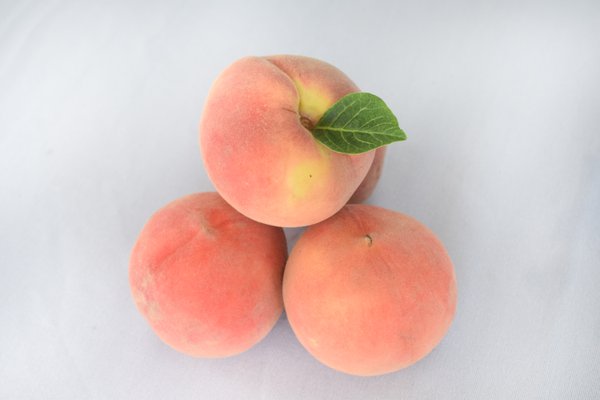 Food example