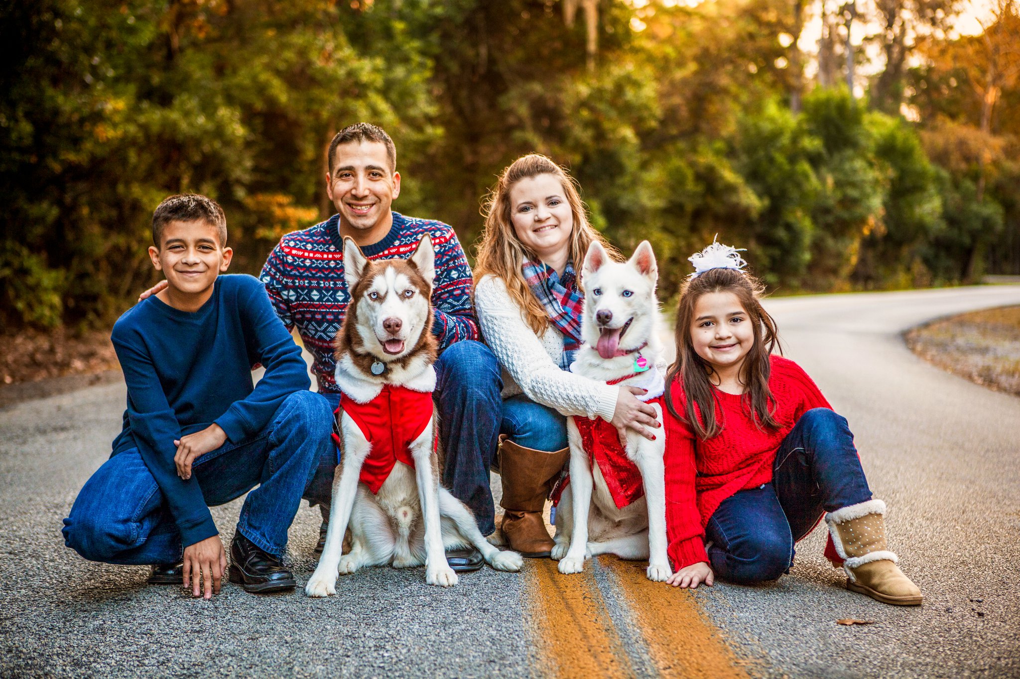 Pet featured sample  in Boston