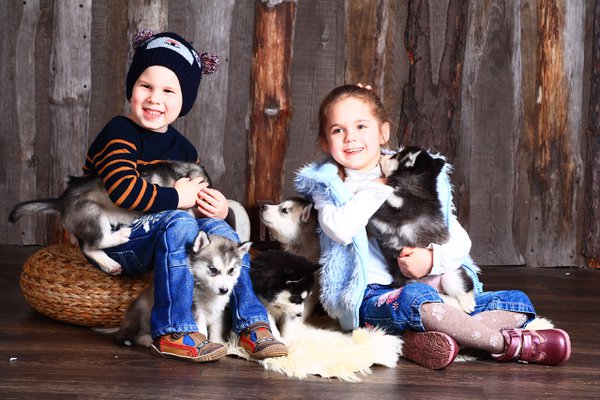 Family example