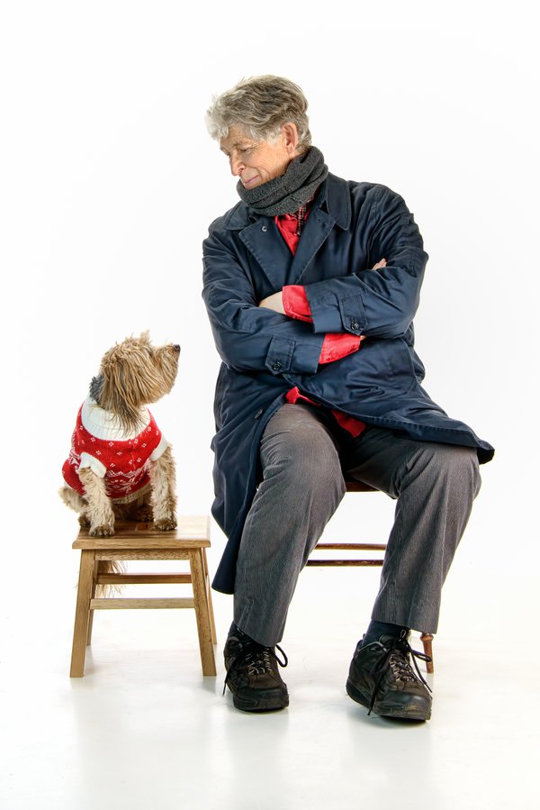 Pet example