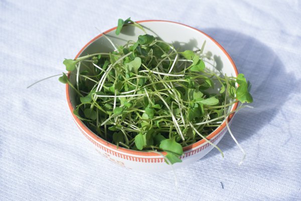 Food example