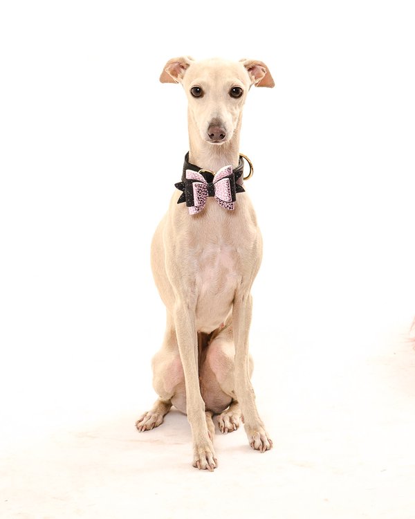 Pet example