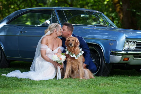 Wedding example