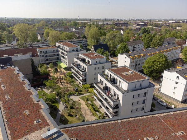 Real Estate example