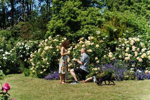 Engagement example