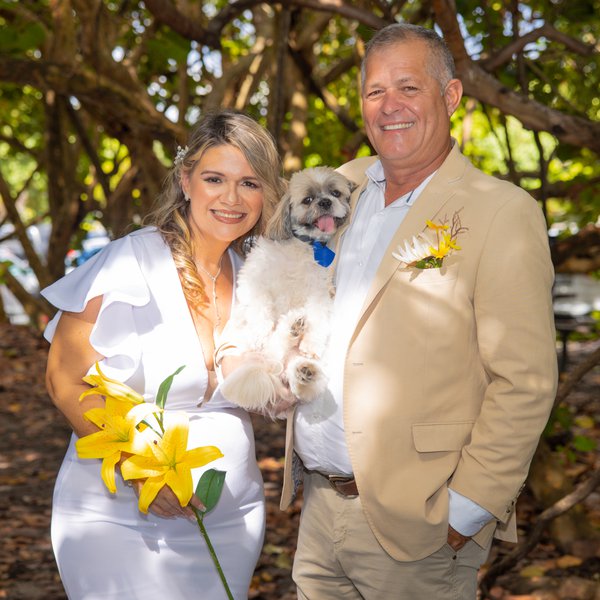 Wedding example