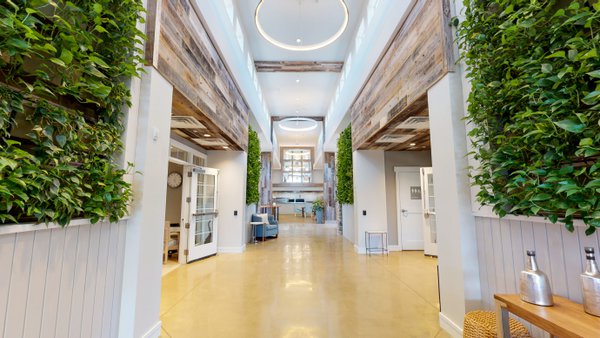 Team & Office example