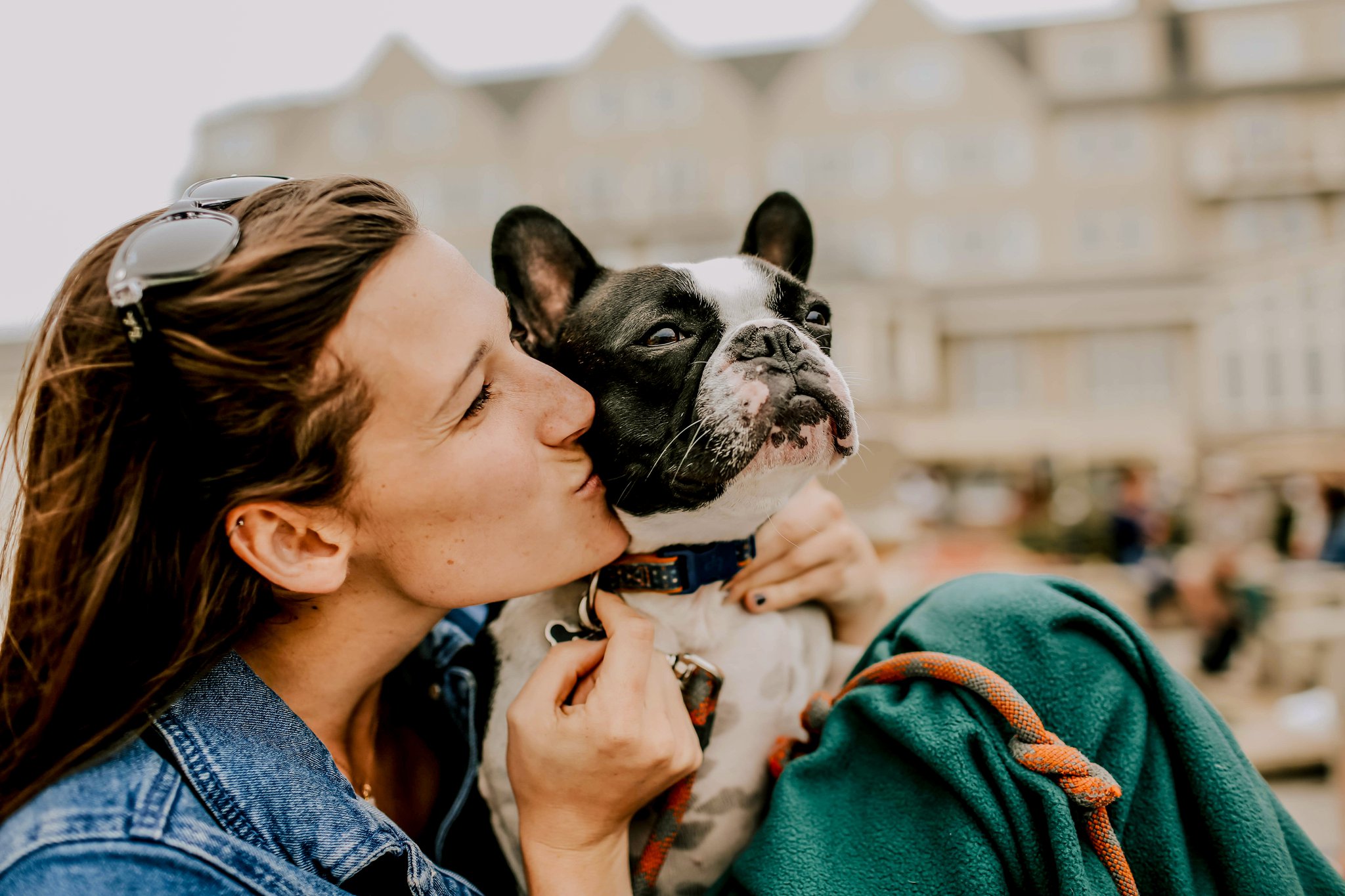Pet featured sample  in Boston