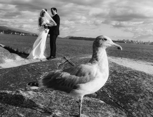 Wedding example