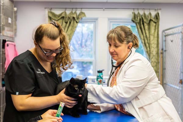 Team & Office example