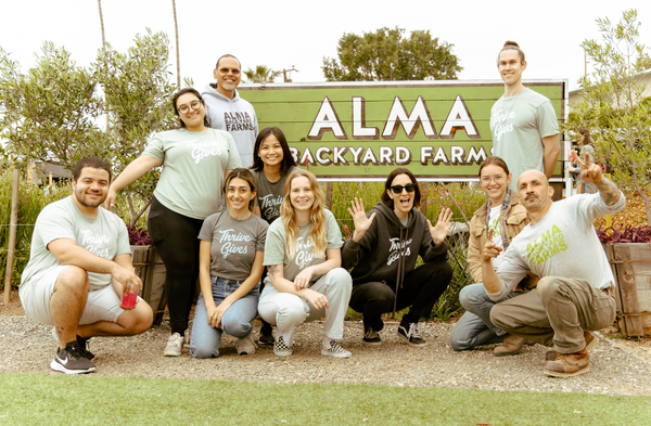 Team & Office example