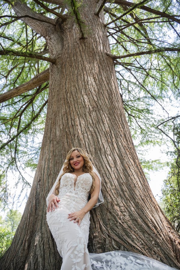 Wedding example