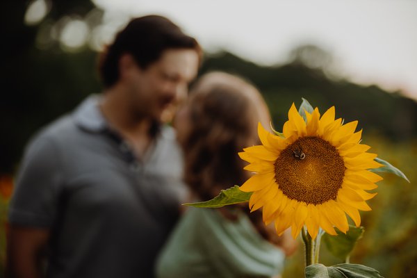 Engagement example