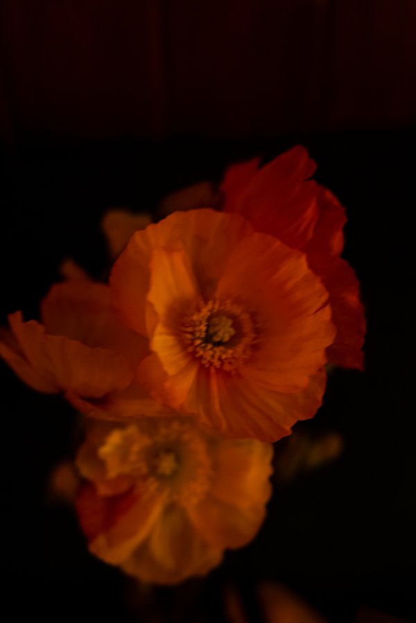 Other example