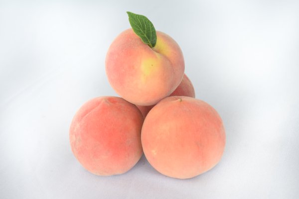 Food example