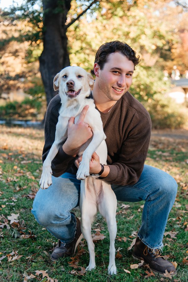 Pet example