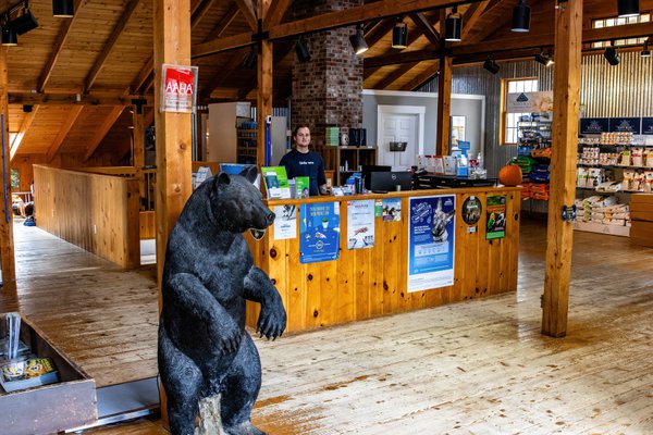 Team & Office example