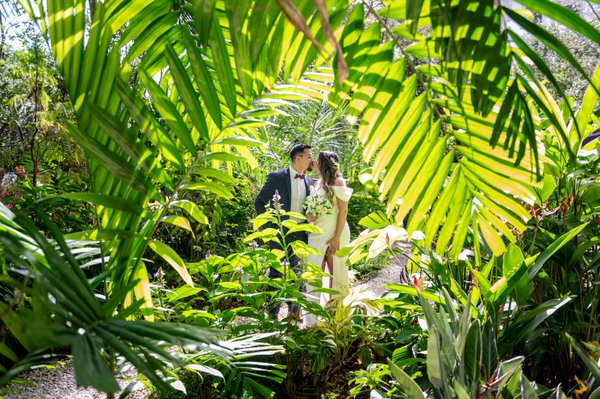 Wedding example