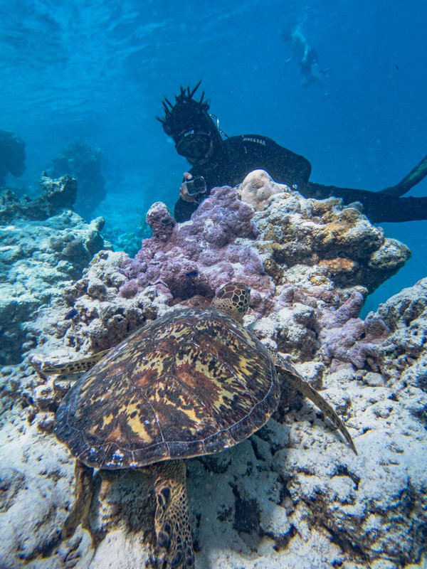 Travel example