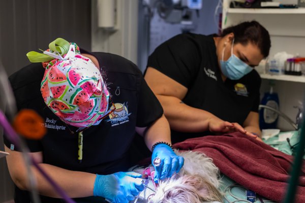 Team & Office example