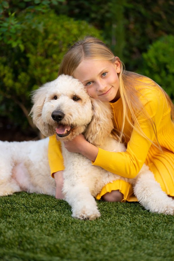 Pet example