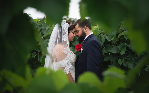 Wedding example