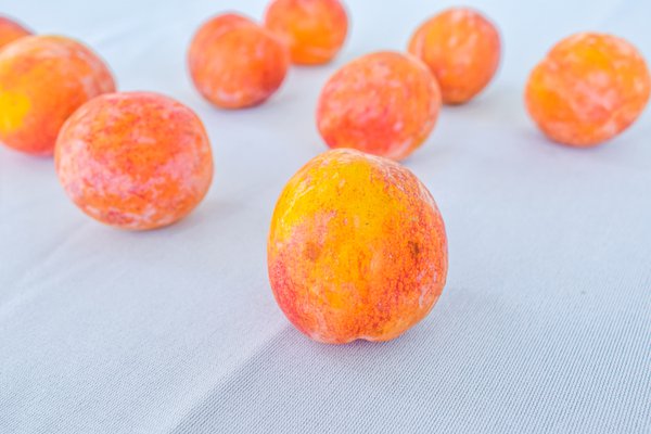 Food example