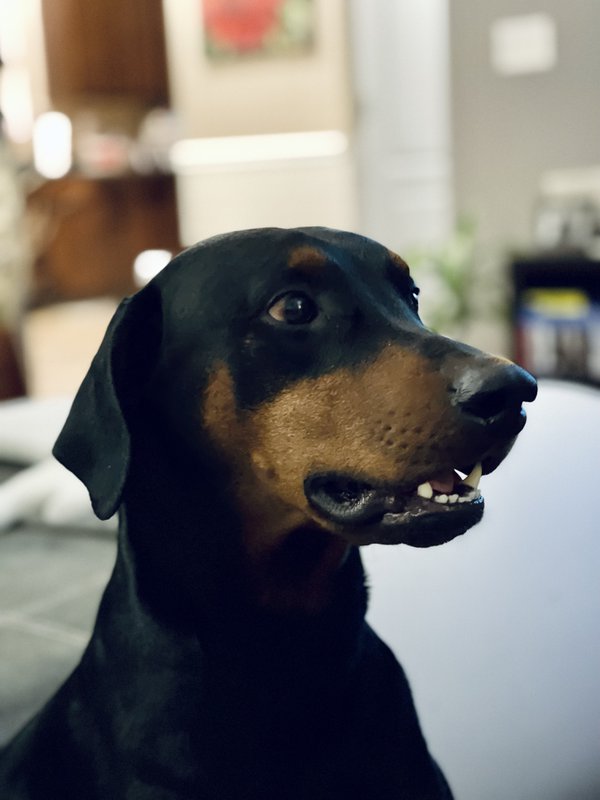 Pet example