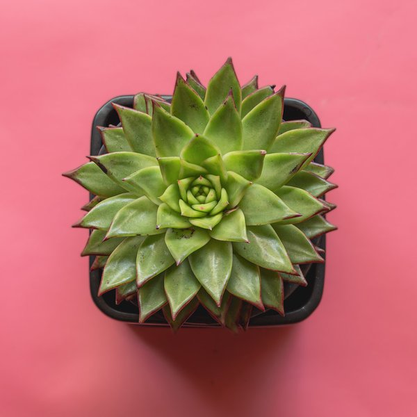 Product example