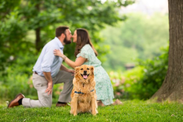 Engagement example
