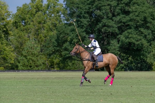 Sport example