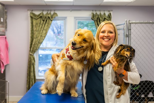 Team & Office example