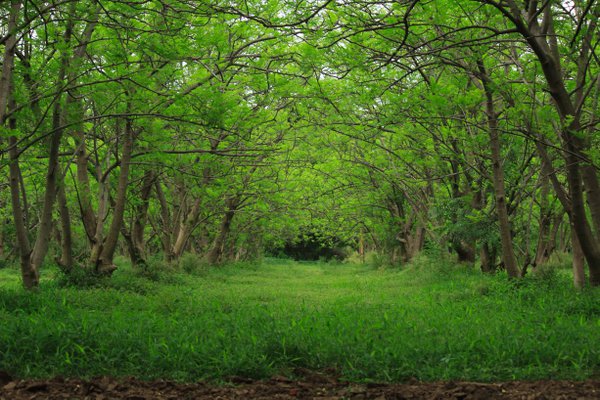 Travel example