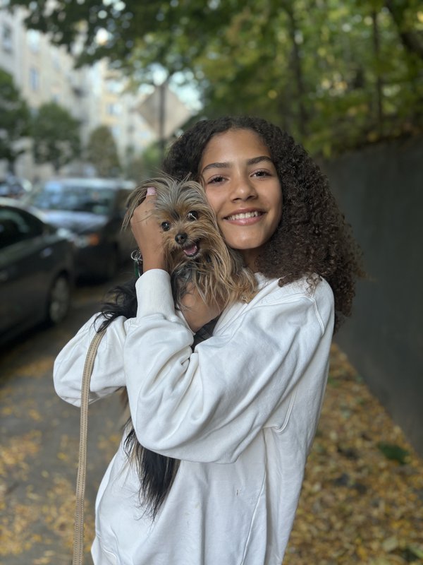 Pet example
