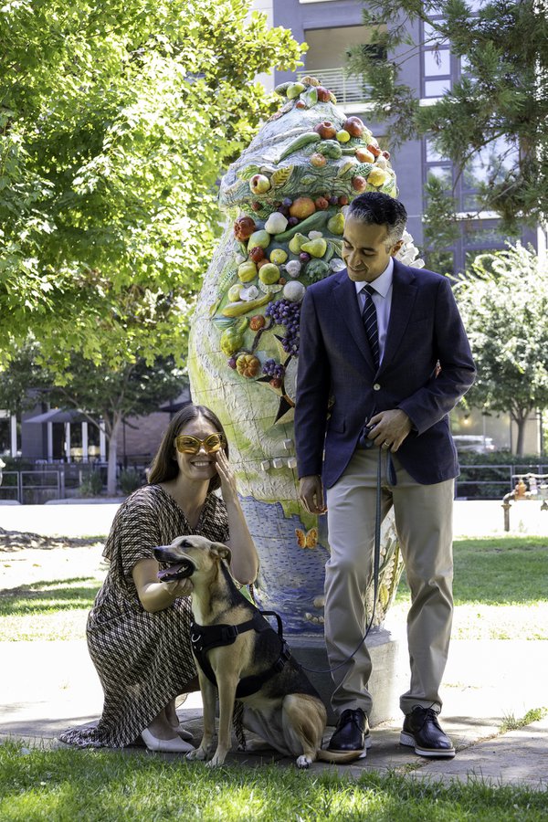 Wedding example