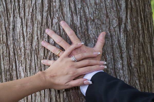 Wedding example