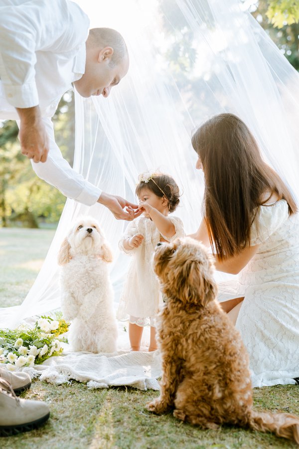 Family example