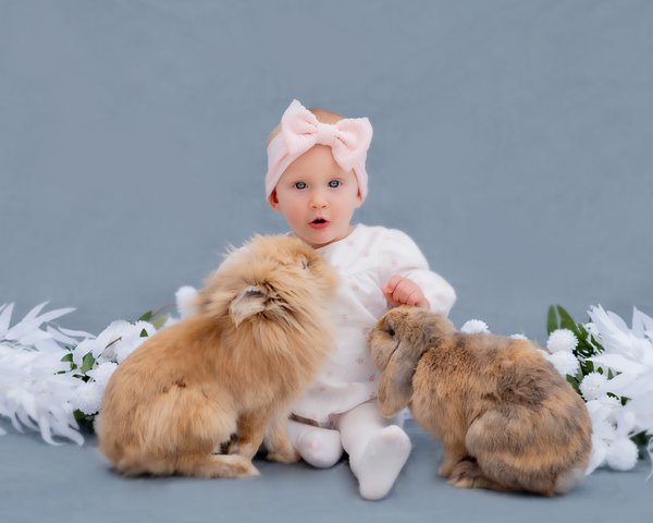 Pet example