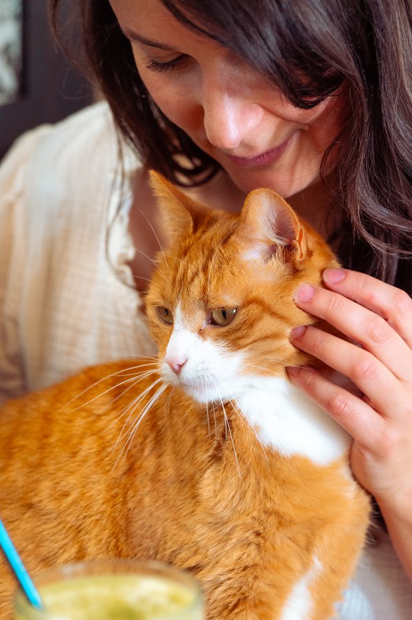 Pet example
