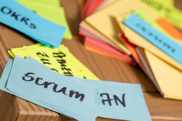 Team & Office example