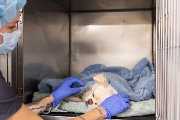 Team & Office example