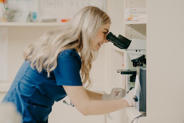 Team & Office example