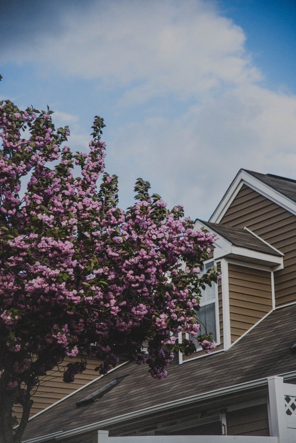 Real Estate example