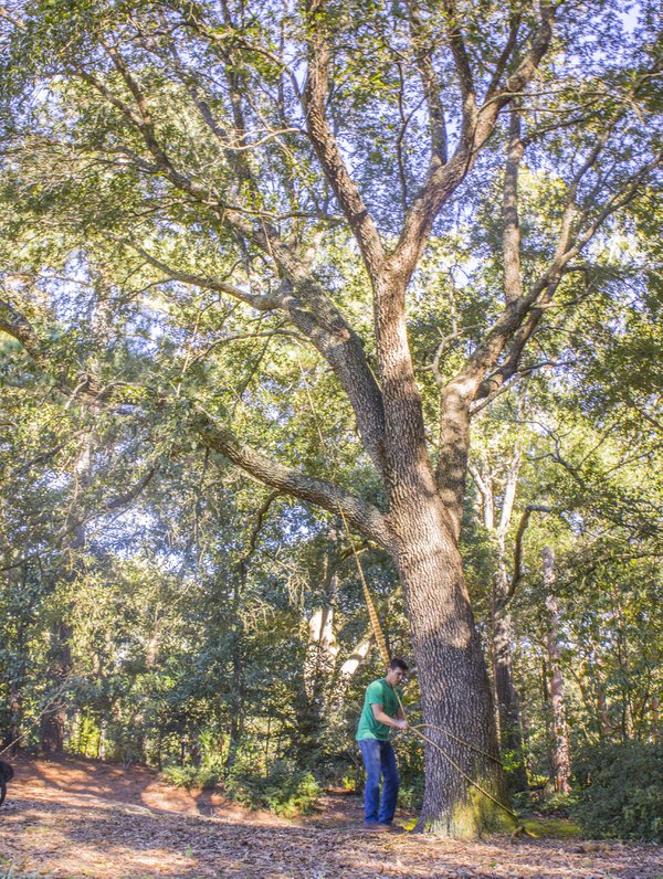 Team & Office example